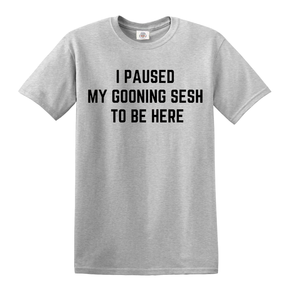 I Paused My | MEN'S T-SHIRT