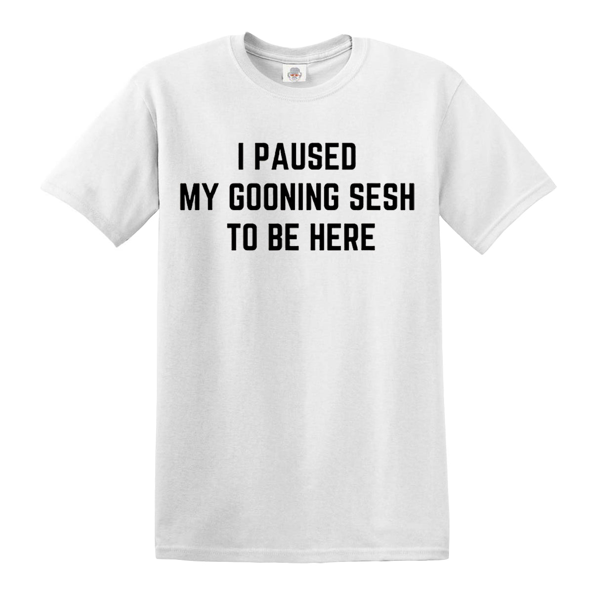 I Paused My | MEN'S T-SHIRT