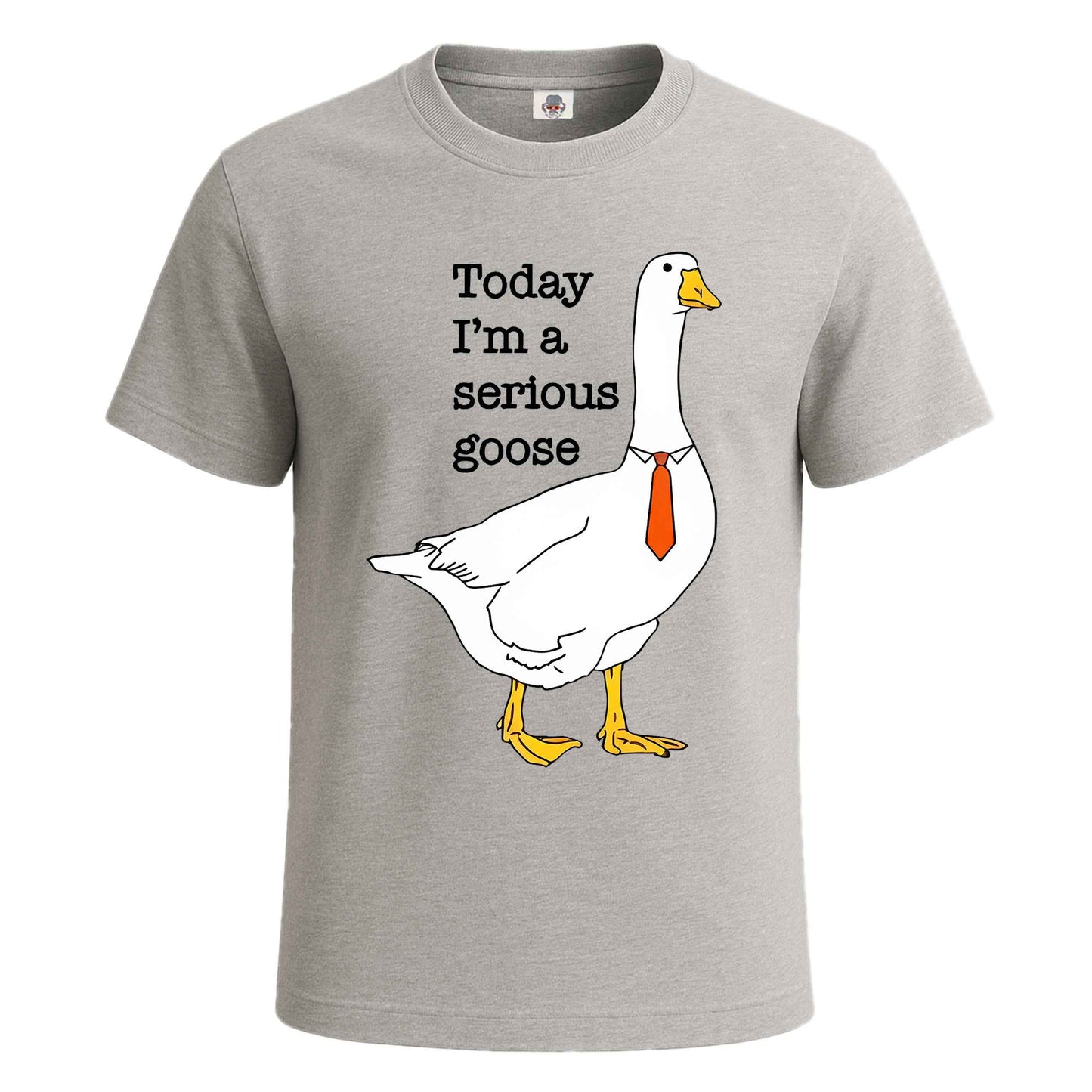 Today I'm A Serious | T-Shirt For Men's
