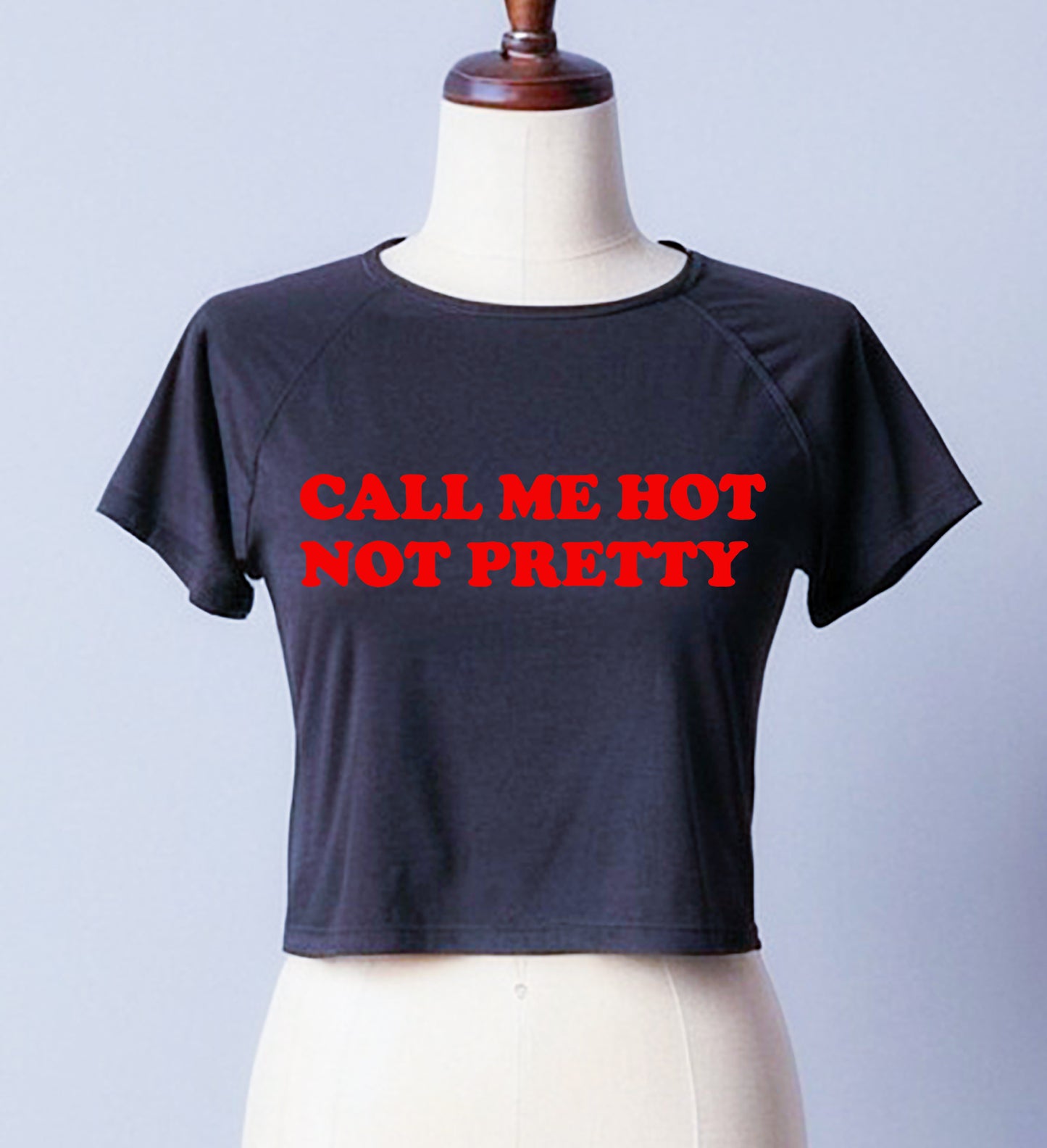 Call Me Hot Not Pretty | LADIES CROP TOP