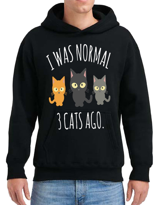 I Was Normal 3 Hoody For Men's