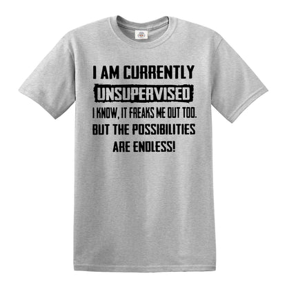 I AM CURRENTLY | MEN'S T-SHIRT