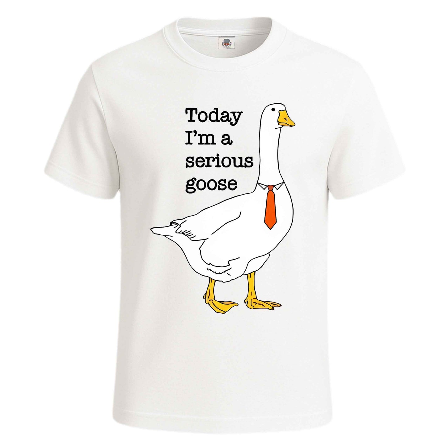 Today I'm A Serious | T-Shirt For Men's