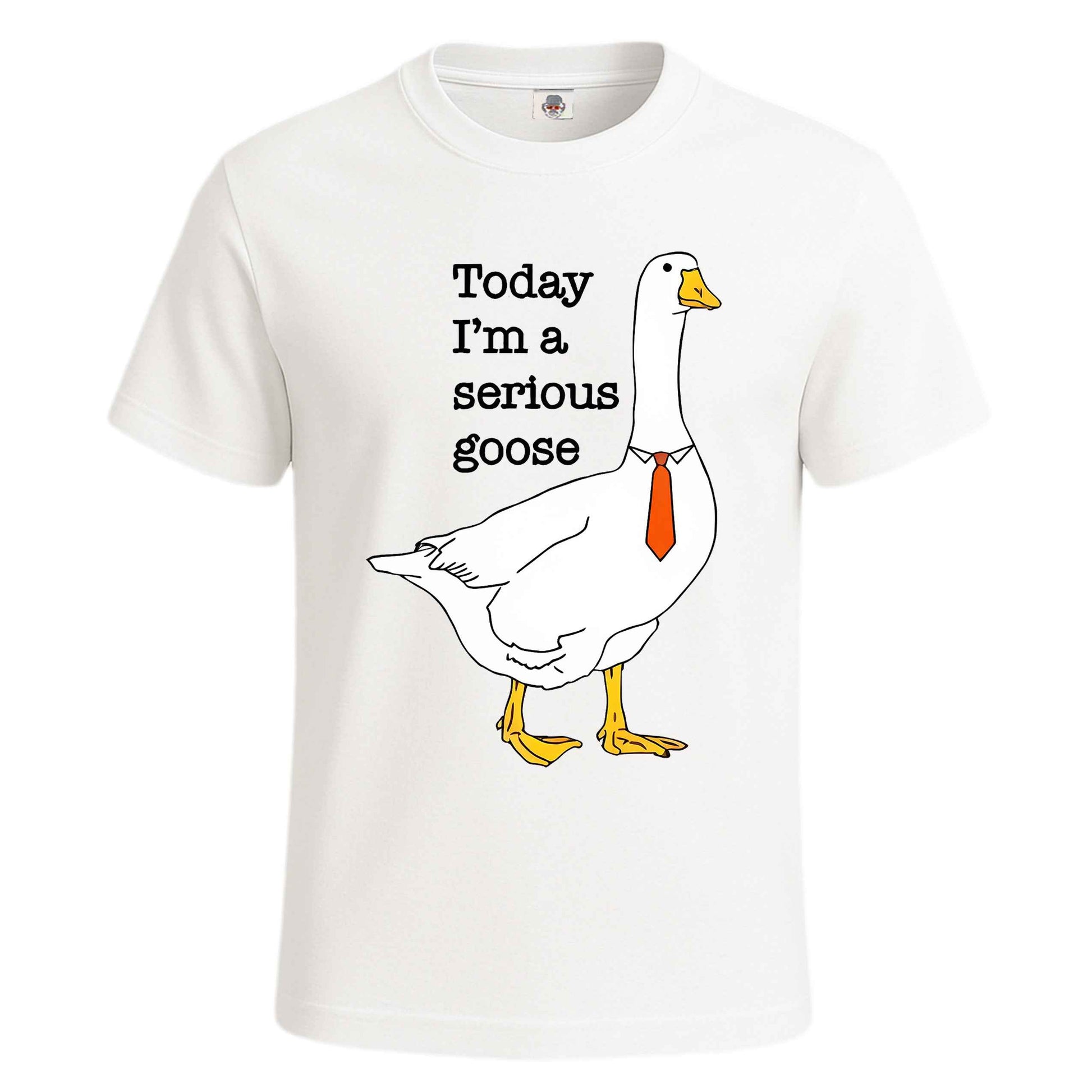 Today I'm A Serious | T-Shirt For Men's