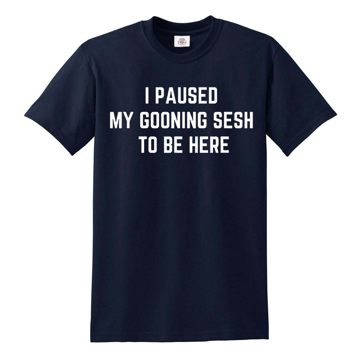 I Paused My | MEN'S T-SHIRT