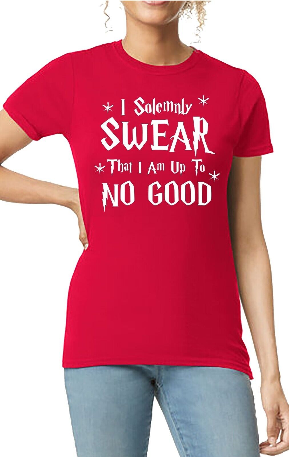 I Solemnly Swear | LADIES T-SHIRT