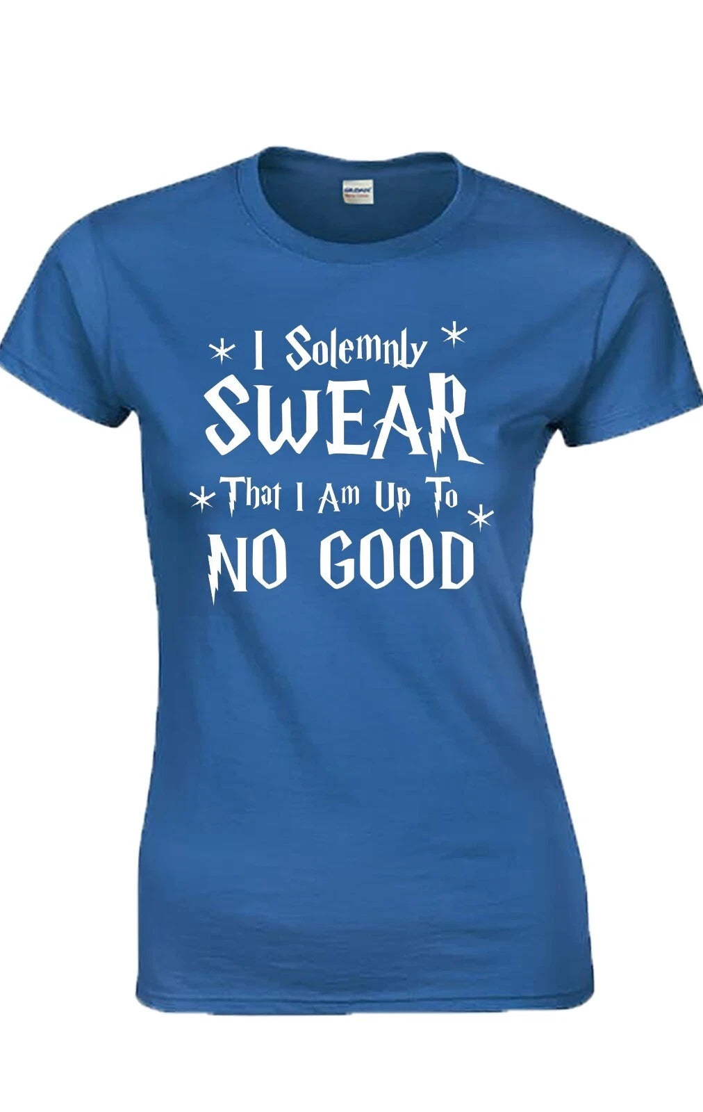 I Solemnly Swear | LADIES T-SHIRT